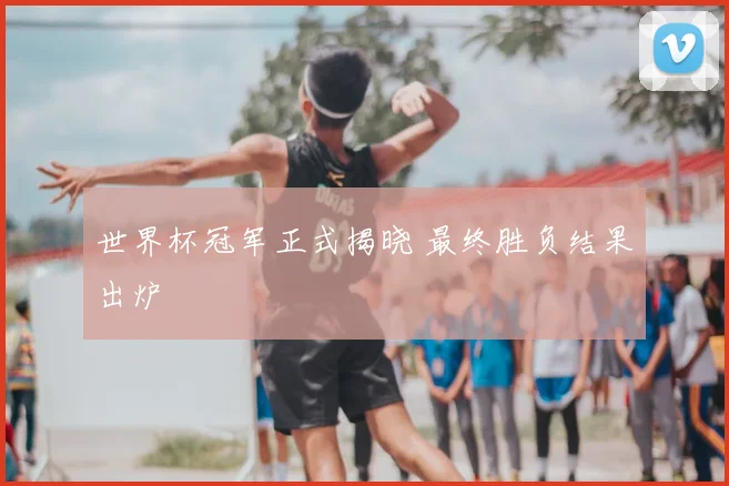 世界杯冠军正式揭晓 最终胜负结果出炉