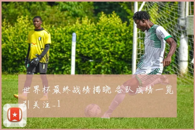 世界杯最终战绩揭晓 各队成绩一览引关注_1