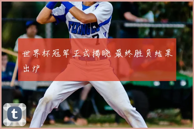 世界杯冠军正式揭晓 最终胜负结果出炉